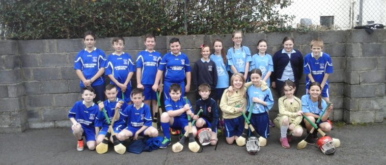 Indoor Hurling and Camogie Competition