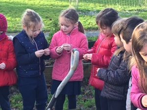 m_IMG_1032